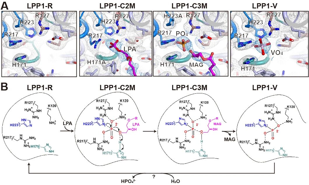 1769068773972 图一